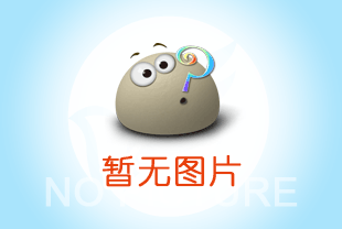 維薩拉DMT143露點儀使用手冊